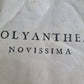 1616 NOVISSIMA POLYANTHEA by LANGUIS antique ANCIENT ENCYCLOPEDIA VELLUM FOLIO