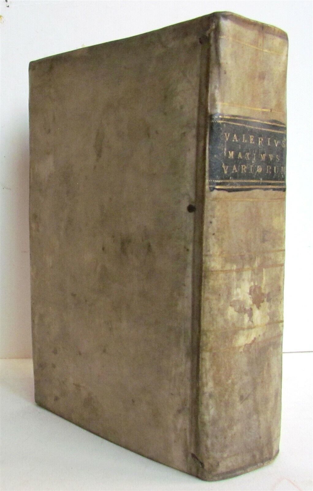 1660 Valerius Maximus Cum Selectis Observati ANTIQUE VELLUM BINDING