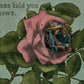 ROMANTIC COUPLE in ROSE FLOWER 1915 EXAGGERATED ANTIQUE POSTCARD