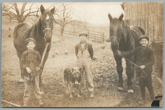 KIDS w/ HORSES & DOG ANTIQUE REAL PHOTO POSTCARD RPPC