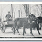 CHARDON OH OX TEAM MAPLE FESTIVAL ANTIQUE POSTCARD