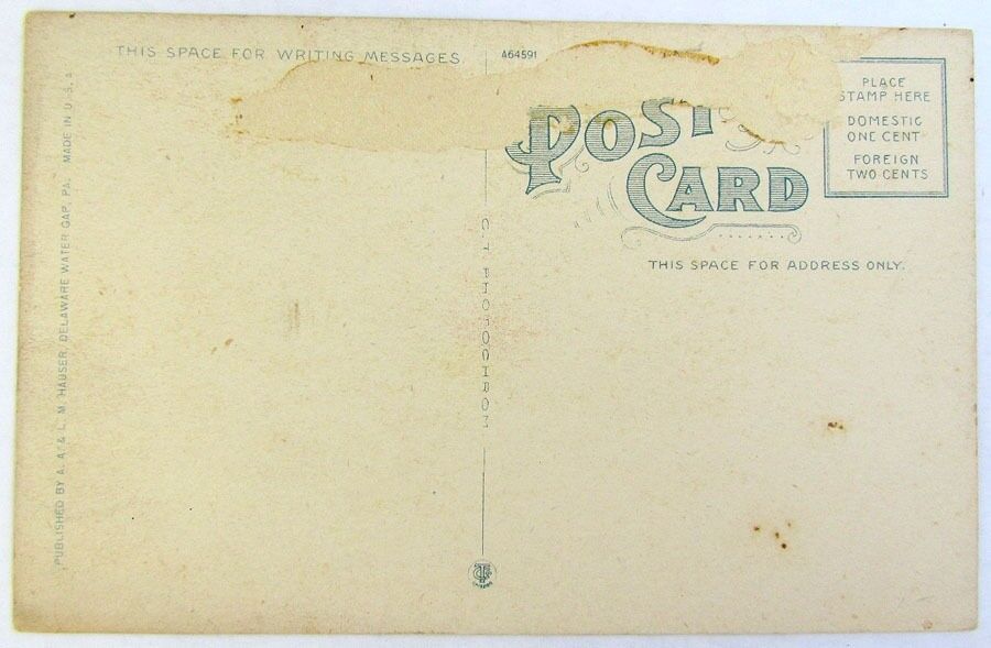 ANTIQUE POSTCARD ISLAND PARK BATHING BEACH DELAWARE WATER GAP PA
