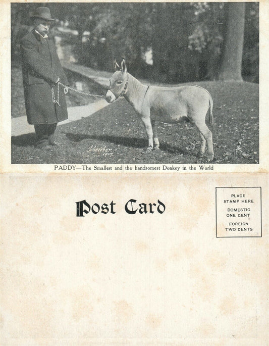SMALLEST & HANDSOMEST DONKEY 1907 FARM SCENE UNDIVIDED ANTIQUE POSTCARD