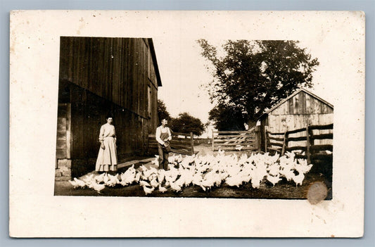 FARMING CHICKENS FEEDING ANTIQUE REAL PHOTO POSTCARD RPPC