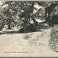 FRENCHTOWN NJ MILFORD ROAD 1907 ANTIQUE POSTCARD