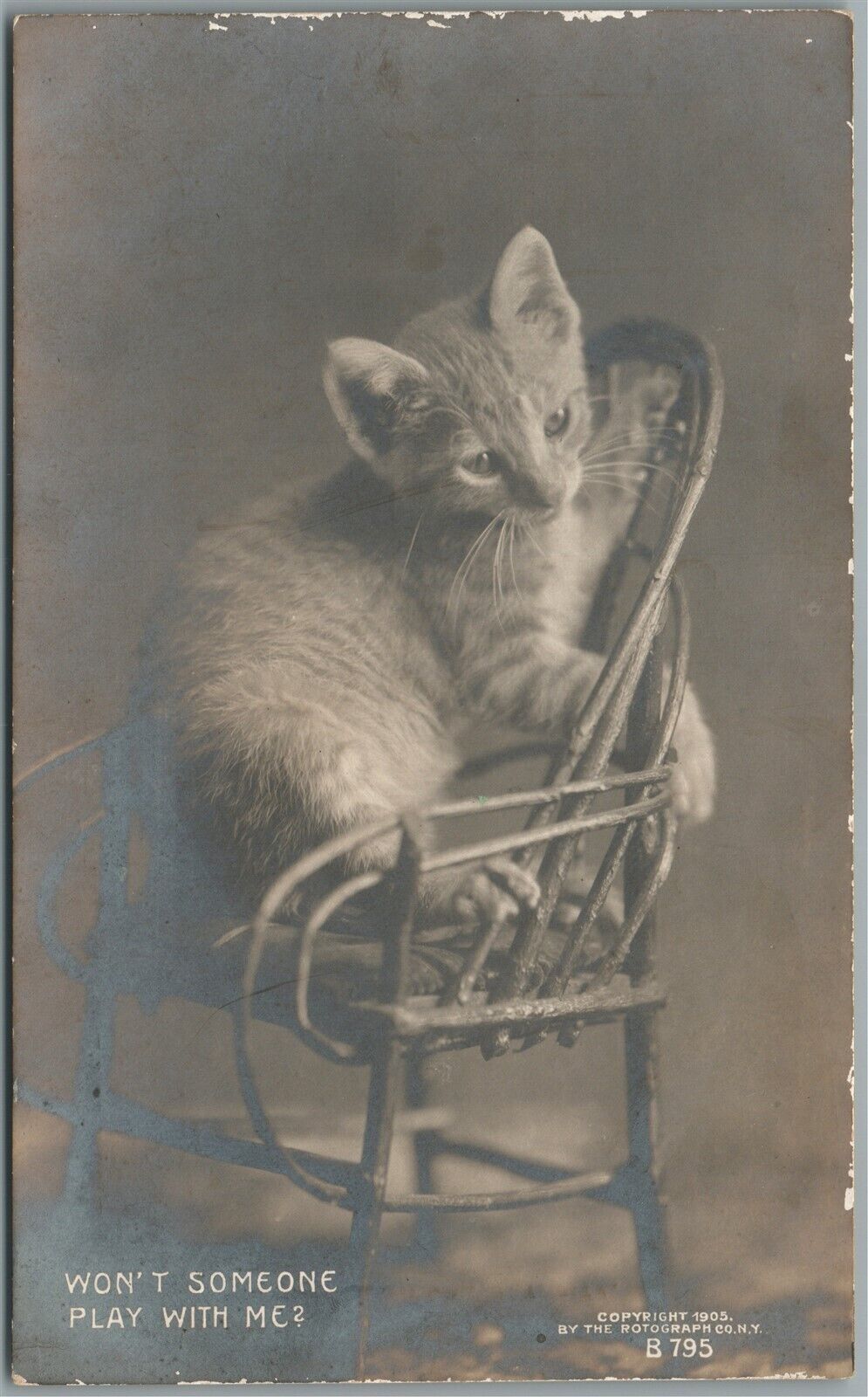 LONELY CAT WON'T SOMEONE PLAY WITH ME? ANTIQUE REAL PHOTO POSTCARD RPPC