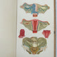 1909 GYNECOLOGICAL PLATES antique leather bound
