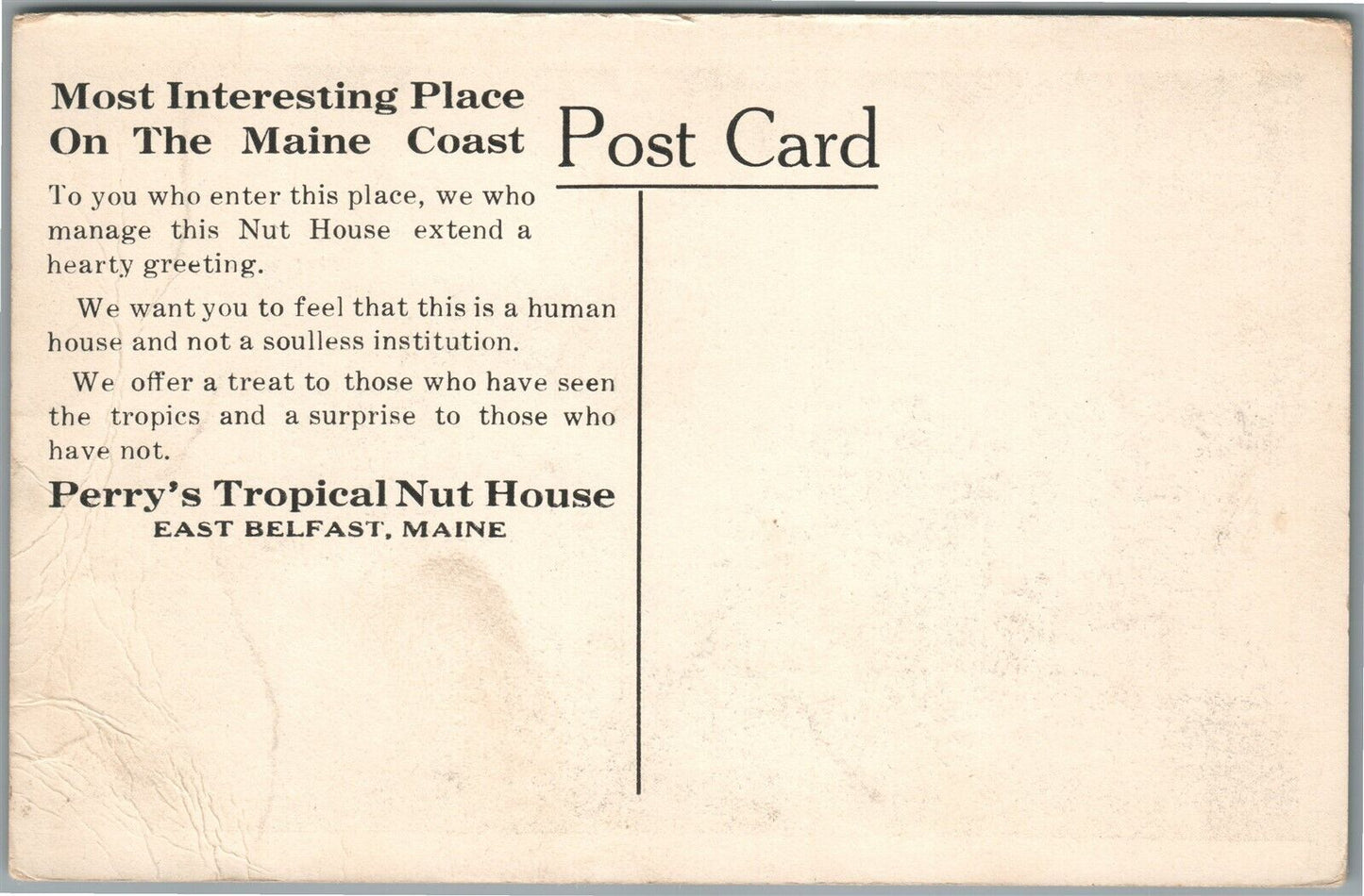 EAST BELFAST ME PERRY'S TROPICAL NUT HOUSE ANTIQUE POSTCARD