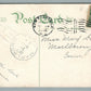NEW BRUNSWICK NJ BOAT CLUB FLEET ANTIQUE POSTCARD