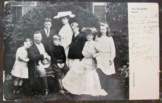 ANTIQUE 1908 POSTCARD THE ROOSEVELT FAMILY