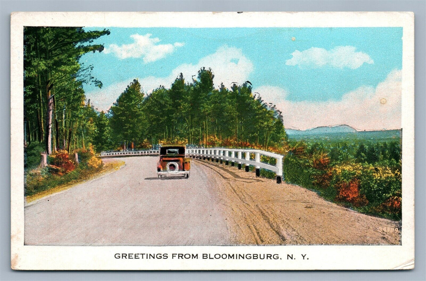 BLOOMINGSBURG NY ANTIQUE POSTCARD