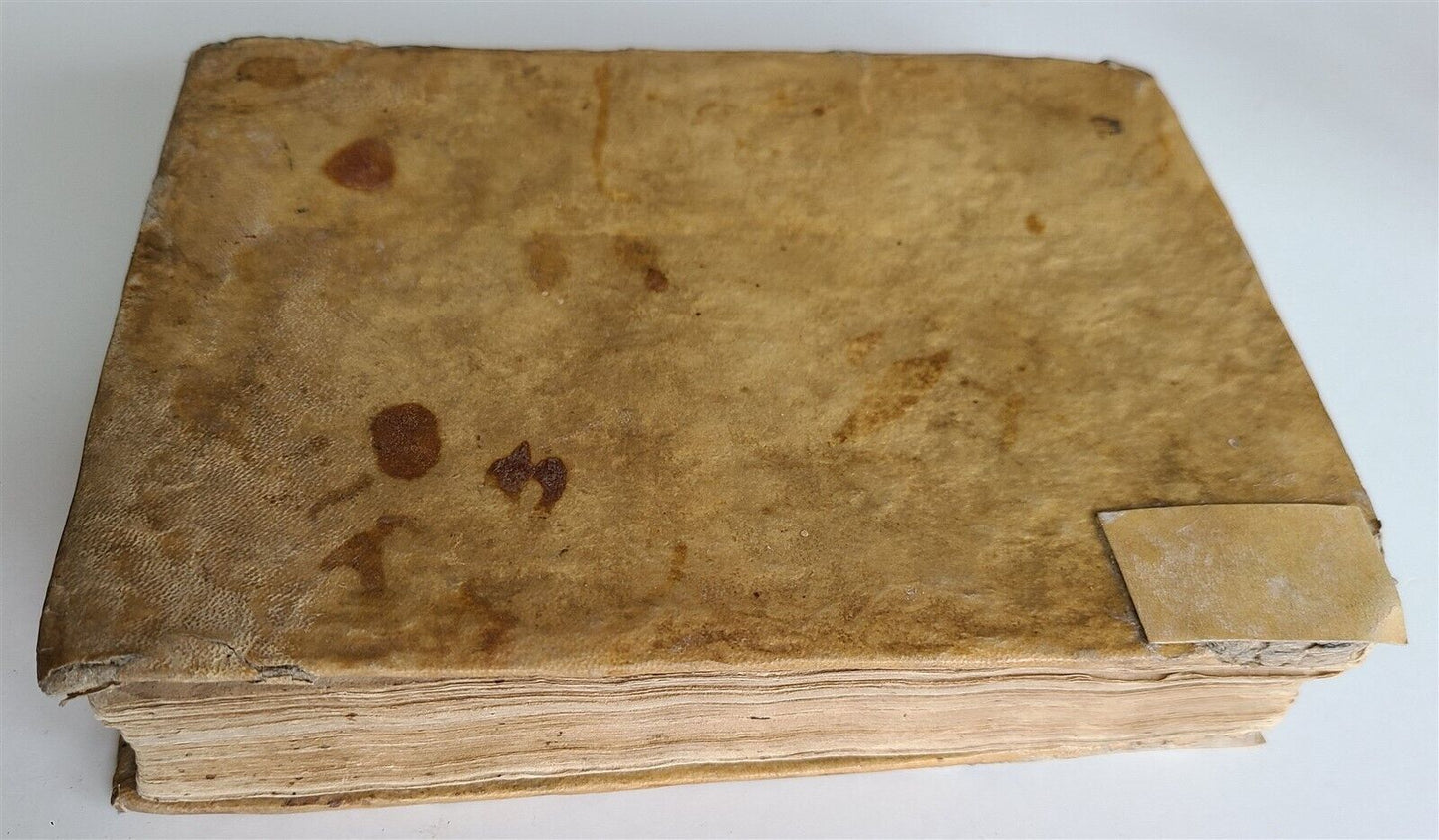 1596 PREDICHE SOPRA I QUATTRO NOVISSIMI antique 16th CENTURY VELLUM BINDING 16 c