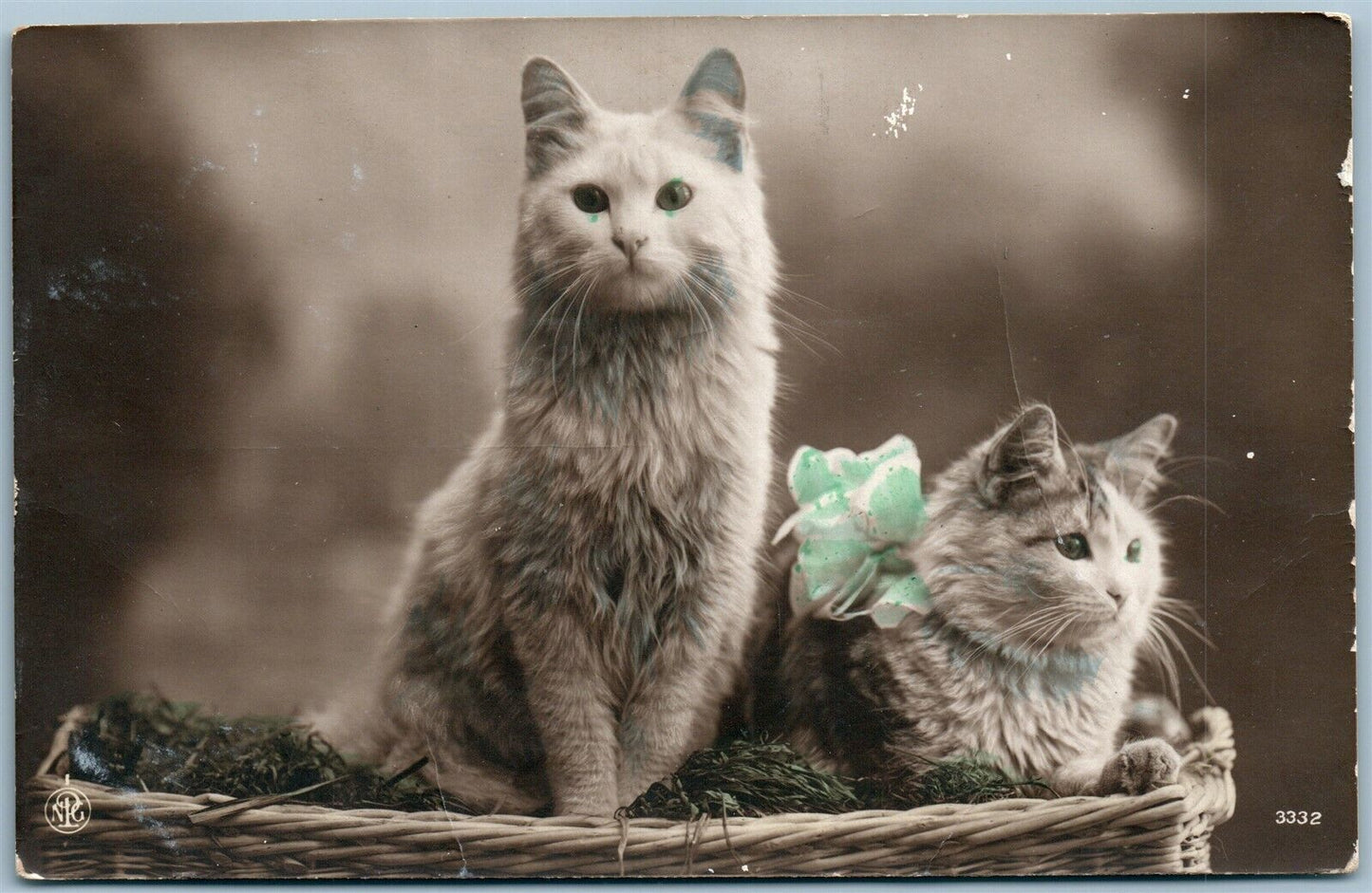 TWO CATS in the BASKET GERMAN ANTIQUE REAL PHOTO POSTCARD RPPC