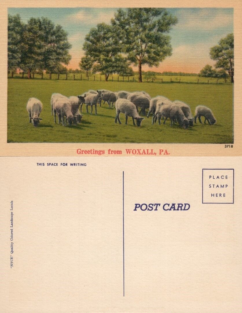 WOXALL PA ANTIQUE POSTCARD