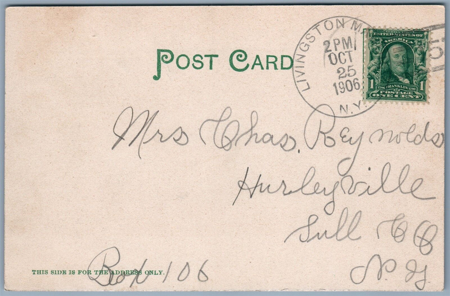 MANOR NY LIVINGSTON BIRDS EYE VIEW 1906 UNDIVIDED ANTIQUE POSTCARD