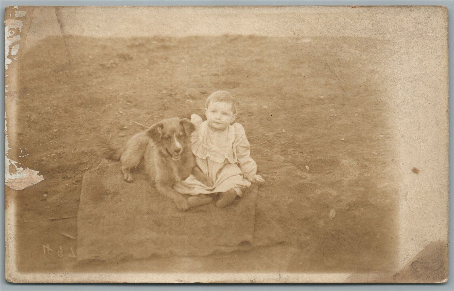 BABY w/ DOG 1909 ANTIQUE REAL PHOTO POSTCARD RPPC