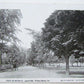 VINTAGE 1906 UNDIVIDED POSTCARD WEST OF RIVER STREET & PARK WILKES-BARRE PA