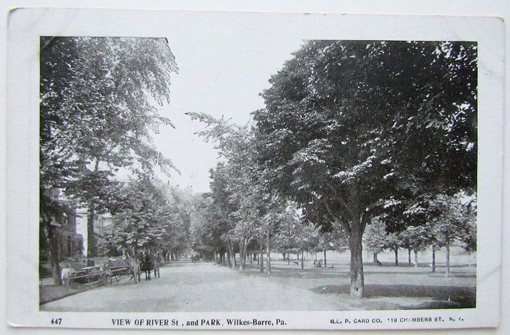 VINTAGE 1906 UNDIVIDED POSTCARD WEST OF RIVER STREET & PARK WILKES-BARRE PA