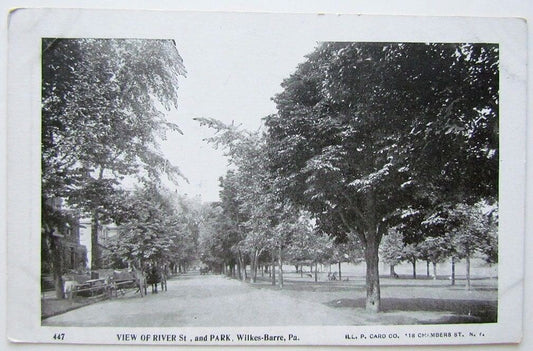 VINTAGE 1906 UNDIVIDED POSTCARD WEST OF RIVER STREET & PARK WILKES-BARRE PA