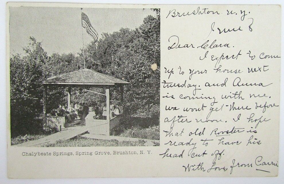 ANTIQUE 1906 POSTCARD CHALYBEATE SPRINGS SPRING GROVE BRUSHTON N.Y.