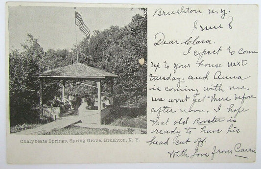 ANTIQUE 1906 POSTCARD CHALYBEATE SPRINGS SPRING GROVE BRUSHTON N.Y.