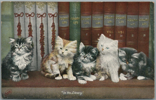 KITTENS in the LIBRARY ANTIQUE POSTCARD