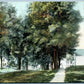 NORTH BROOKFIELD MA SCHOOL STREET ANTIQUE POSTCARD