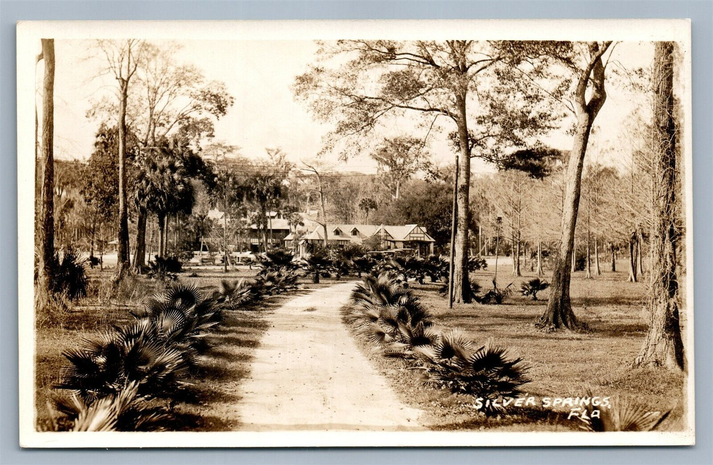 SILVER SPRINGS FL VINTAGE REAL PHOTO POSTCARD RPPC