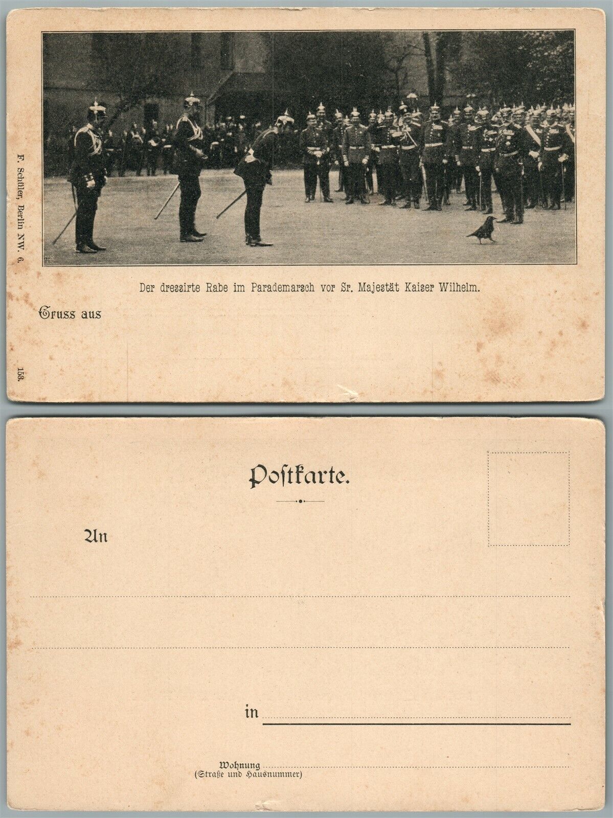 KAISER WILHELM CROW PARADE ANTIQUE GERMAN POSTCARD