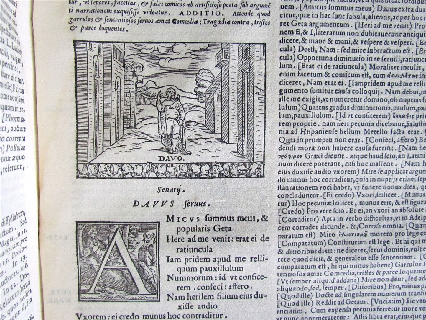 1567 COMOEDIAE SEX by TERENCE ILLUSTRATED VELLUM BINDING ANTIQUE 16th CENTURY