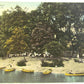ANTIQUE POSTCARD ISLAND PARK BATHING BEACH DELAWARE WATER GAP PA
