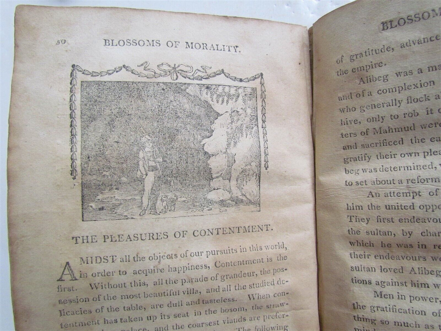 1810 BLOSSOMS of MORALITY antique PHILADELPHIA AMERICANA illustrated