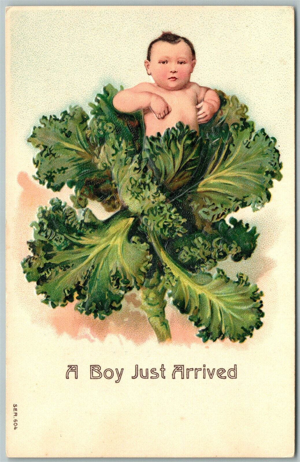 BOY JUST ARRIVED EMBOSSED ANTIQUE POSTCARD