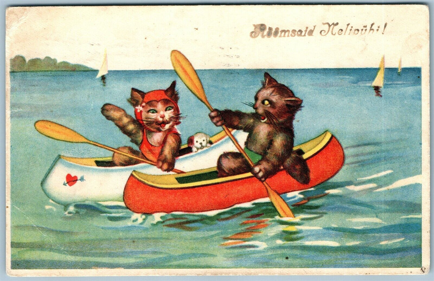 DRESSED CATS CANOEING VINTAGE POSTCARD