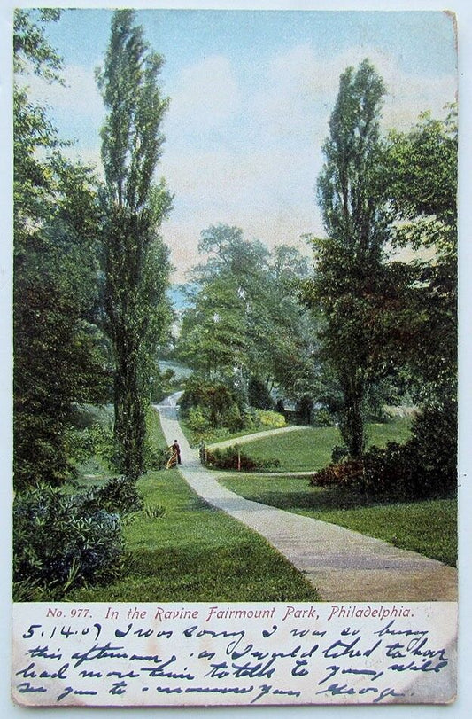 VINTAGE POSTCARD IN THE RAVINE FAIRMOUNT PARK PHILADELPHIA PA