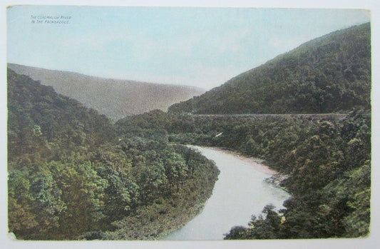 CONEMAUGH RIVER IN THE PACKSADDLE PA ANTIQUE POSTCARD