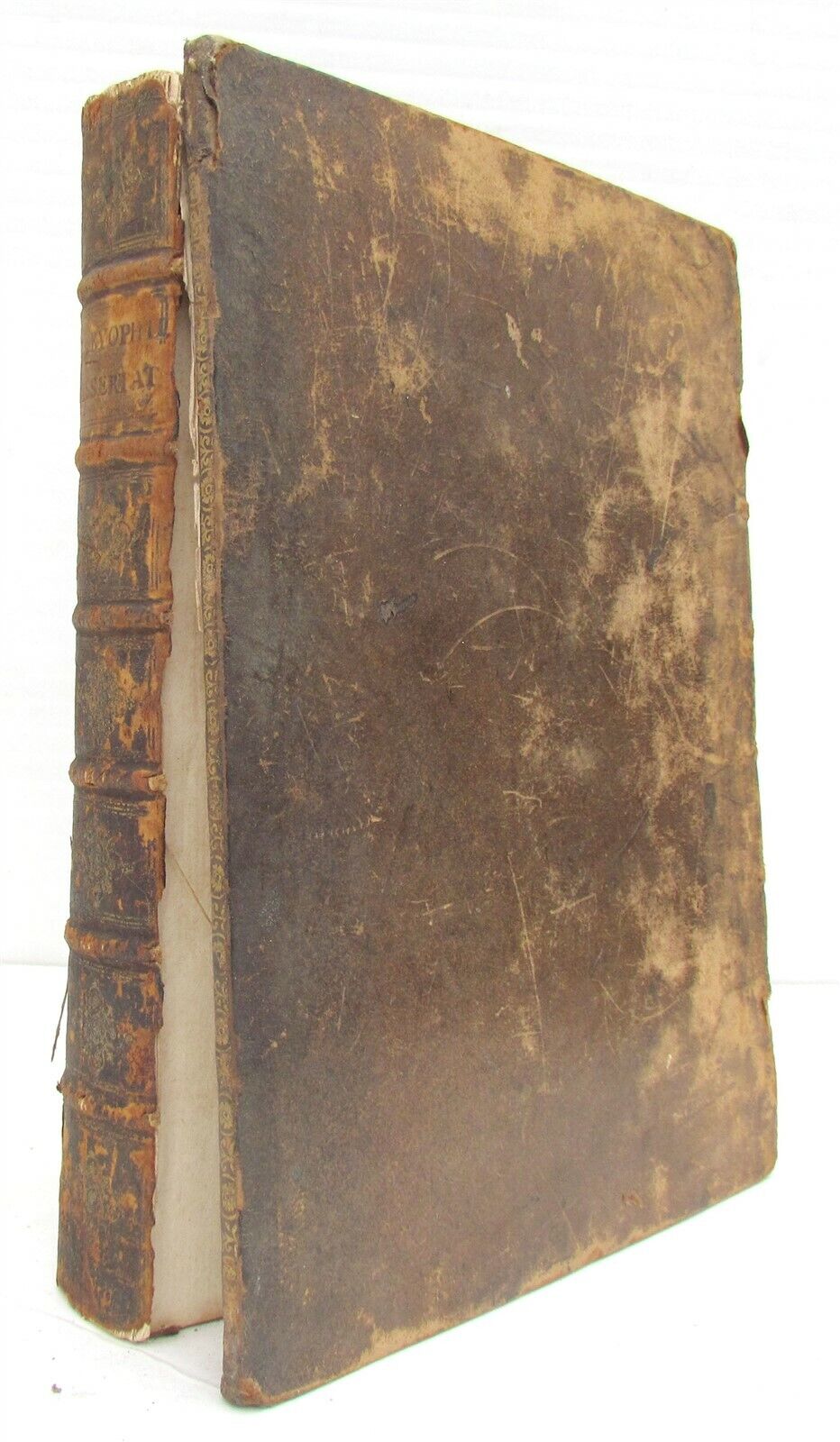 1718 Essays Concerning Biblical Medicinal Plants by Biagio Garofalo antique