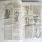 1651 HISTORIAE PLANTARUM UNIVERSALIS v.3 by J. Bauhin antique BOTANY ILLUSTRATED