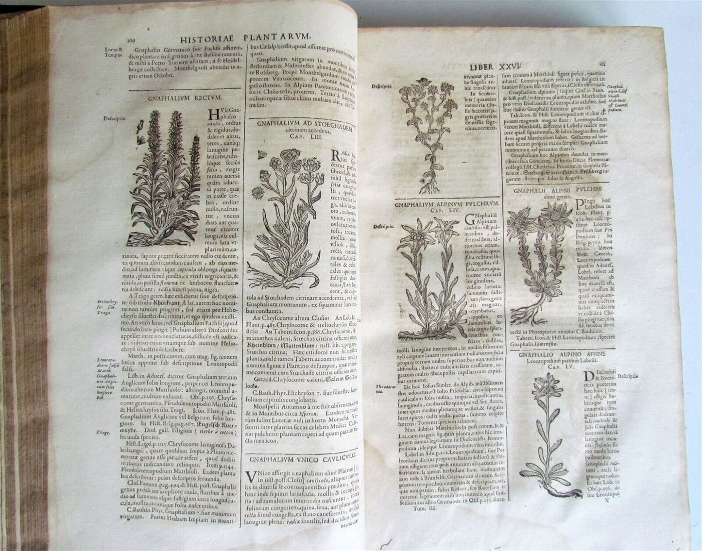 1651 HISTORIAE PLANTARUM UNIVERSALIS v.3 by J. Bauhin antique BOTANY ILLUSTRATED