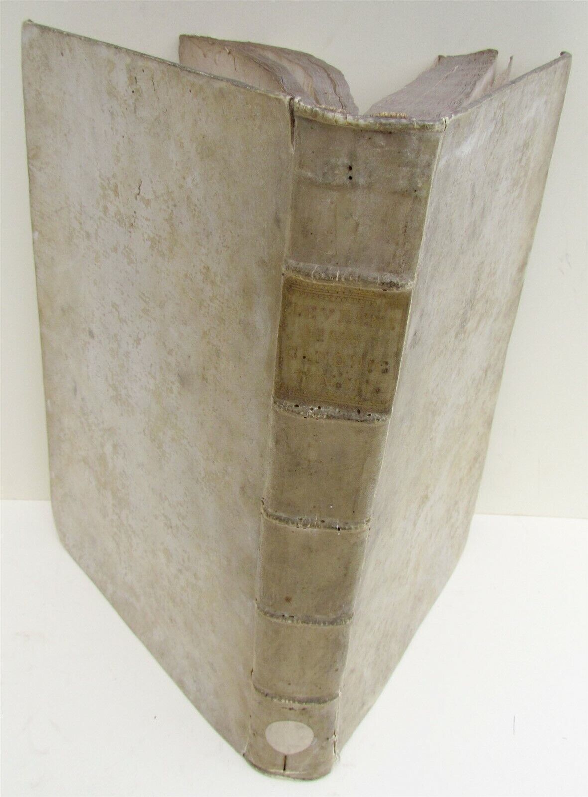 1729 ANTIQUE VELLUM BOUND FOLIO FORUM ECCLESIASTICUM by PETRO LEURENIO v.3