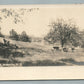 BRIDGETON NJ CITY PARK ANTIQUE REAL PHOTO POSTCARD RPPC