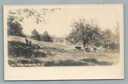 BRIDGETON NJ CITY PARK ANTIQUE REAL PHOTO POSTCARD RPPC