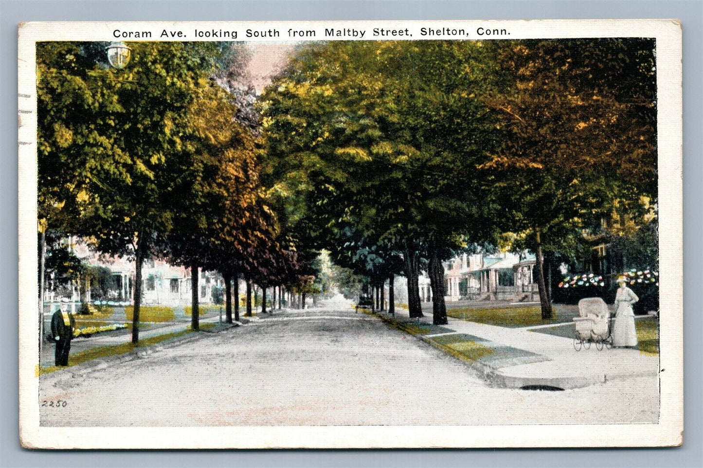 SHELTON CT CORAM AVENUE ANTIQUE POSTCARD