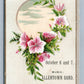 VICTORIAN TRADE CARD H.LEH & CO. DRY GOOD & SHOES ALLENTOWN PA antique