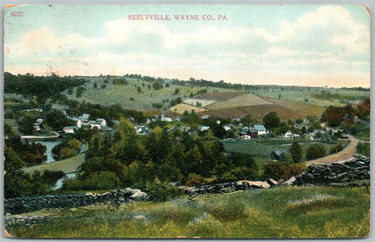 SEELYVILLE WAYNE COUNTY PA 1908 ANTIQUE POSTCARD