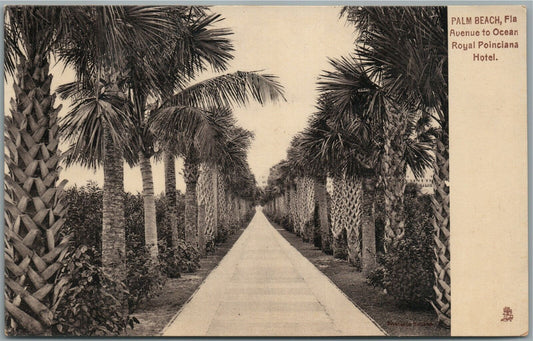 PALM BEACH FL AVENUE TO OCEAN ROYAL POINCIANA HOTEL ANTIQUE POSTCARD