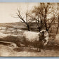 FARM SCENE w/ SHEEP ANTIQUE REAL PHOTO POSTCARD RPPC