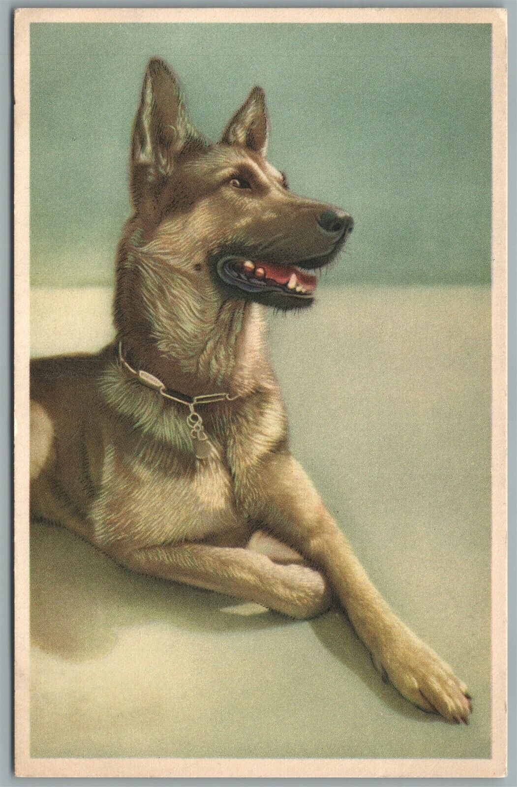 GERMAN SHEPPERD DOG ANTIQUE POSTCARD BELGIUM