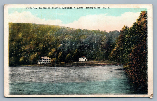 BRIDGEVILLE NJ MOUNTAIN LAKE SWEENEY SUMMER HOME ANTIQUE POSTCARD