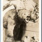 INDIAN TOTEM IGLOO CURIO SHOP KODIAK BEAR ANTIQUE REAL PHOTO POSTCARD RPPC